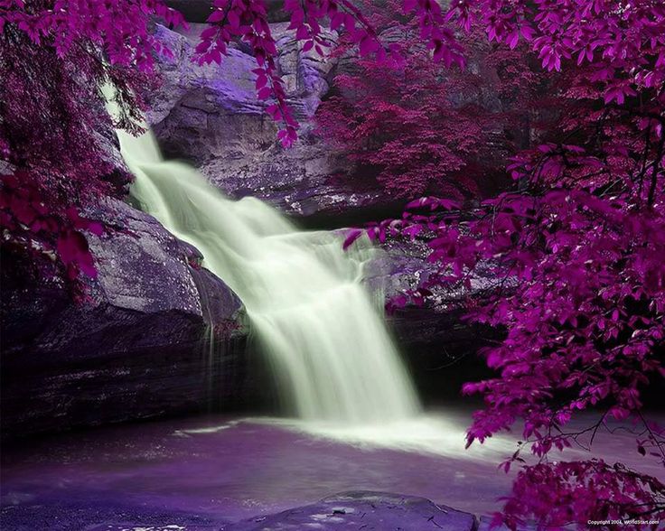 L515GP's tweet photo. La tierra tiene música para los que escuchan. 
(George Santayana)
#Bella #naturaleza #NaturalBeauty https://t.co/y0e57oHN7N