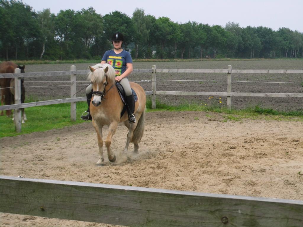 ClaudiaPijl's tweet photo. Gaat steeds beter :) https://t.co/zZ6gVBlcNc