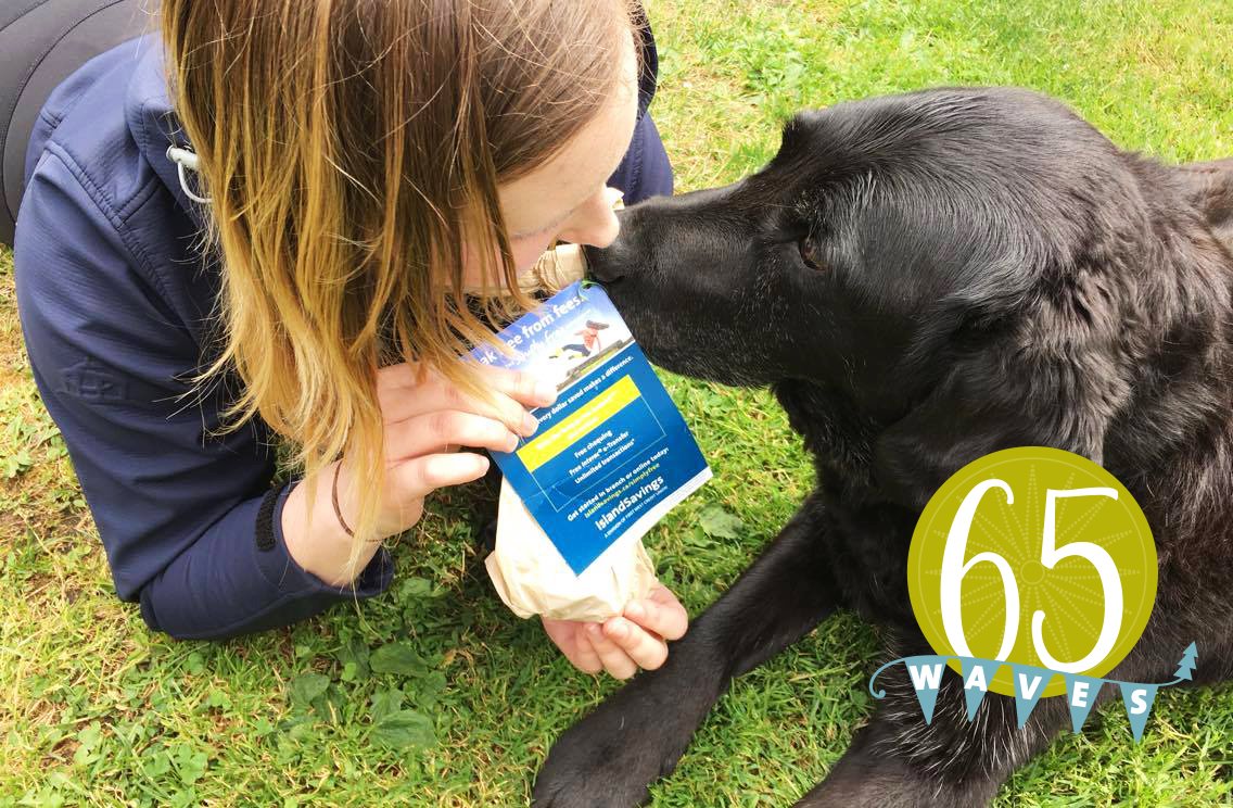 Island_Savings's tweet photo. Wave of Kindness #7: making new friends with dog treats along Dallas Road last week. #yyj #Celebrating65 https://t.co/zMD4ijXvEi