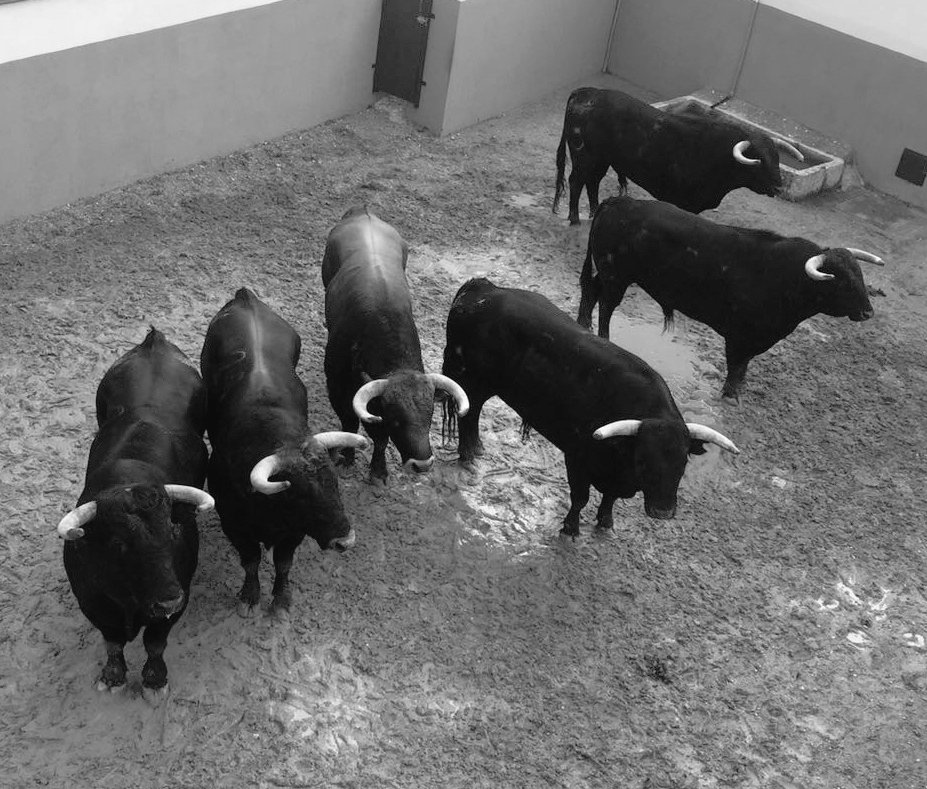 Os presento la novillada de esta tarde de Soto de la fuente. Bonita y pareja suerte a tod@s