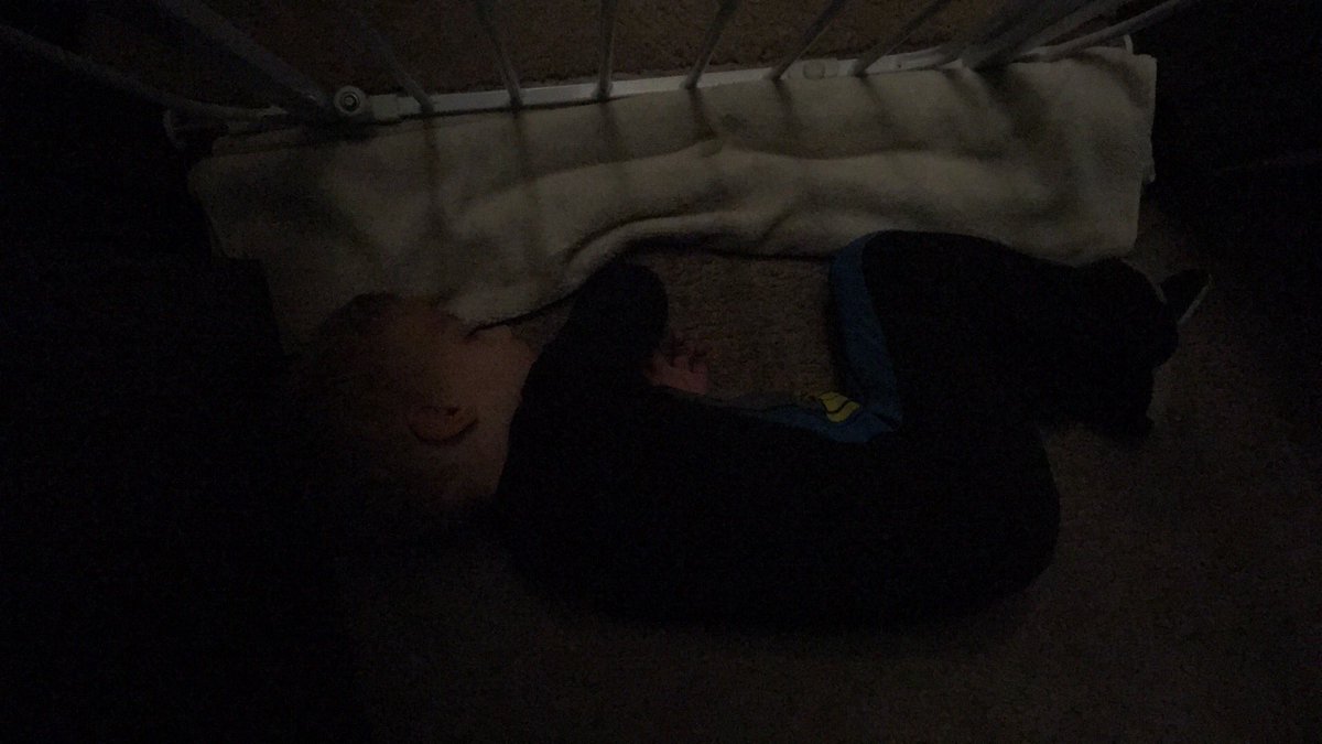 Carter woke up twice last night and didn't make a noise, just passed out right in front of his door😂