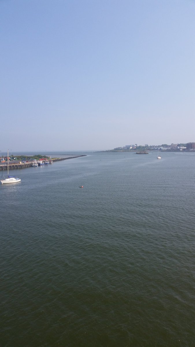 Tweetinggoddess's tweet photo. I love coming into #Wexford town #irishsummer https://t.co/pzhCQjDolo