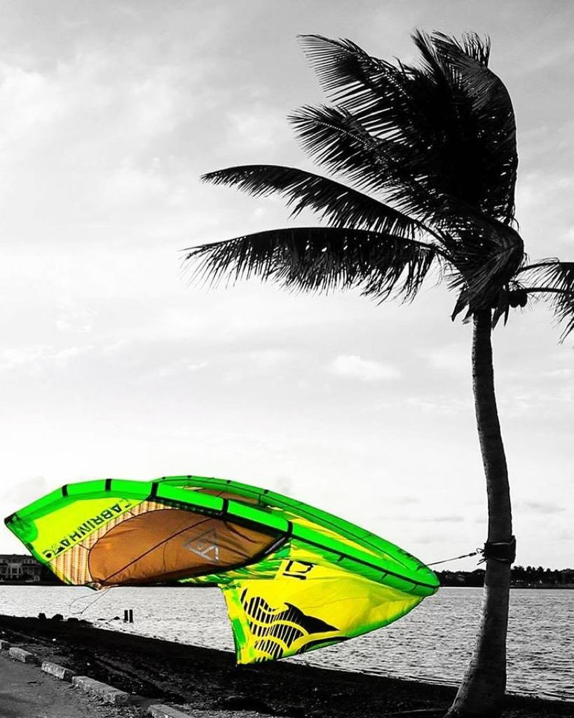 weKitesurf's tweet photo. #kiteboardgirls #kiteboarding #kitesurfing #kiteboading #kiteschool #Kiter #kitegirl  #kitesurf #cabrinhakites #wat… https://t.co/IHO44wEN9H