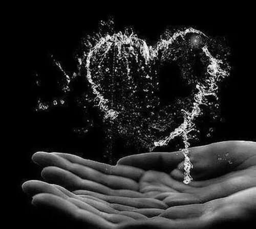 AfterEight13's tweet photo. ↪#RETWEET↩ 
✴#FOLLOW✴↪@shoteck↩
@kompulsion @ladyginablue
@JustbefreeXO @albashosh1
@Feliz_Sabado @Oekpetry
🔝🔝🔝🔝 https://t.co/IFgyYbis5d