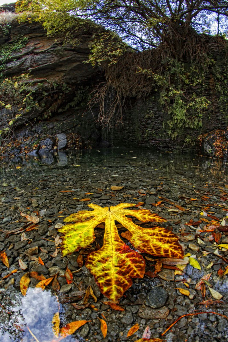 Crea tu Evento en el mejor entorno con Evening marcando la diferencia con la simplicidad del espacio natural