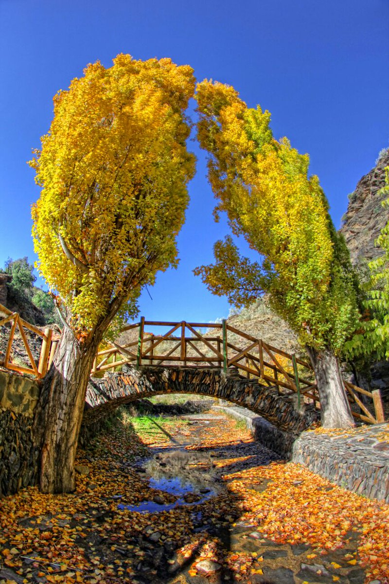 Con Evening los espacios naturales están asegurados