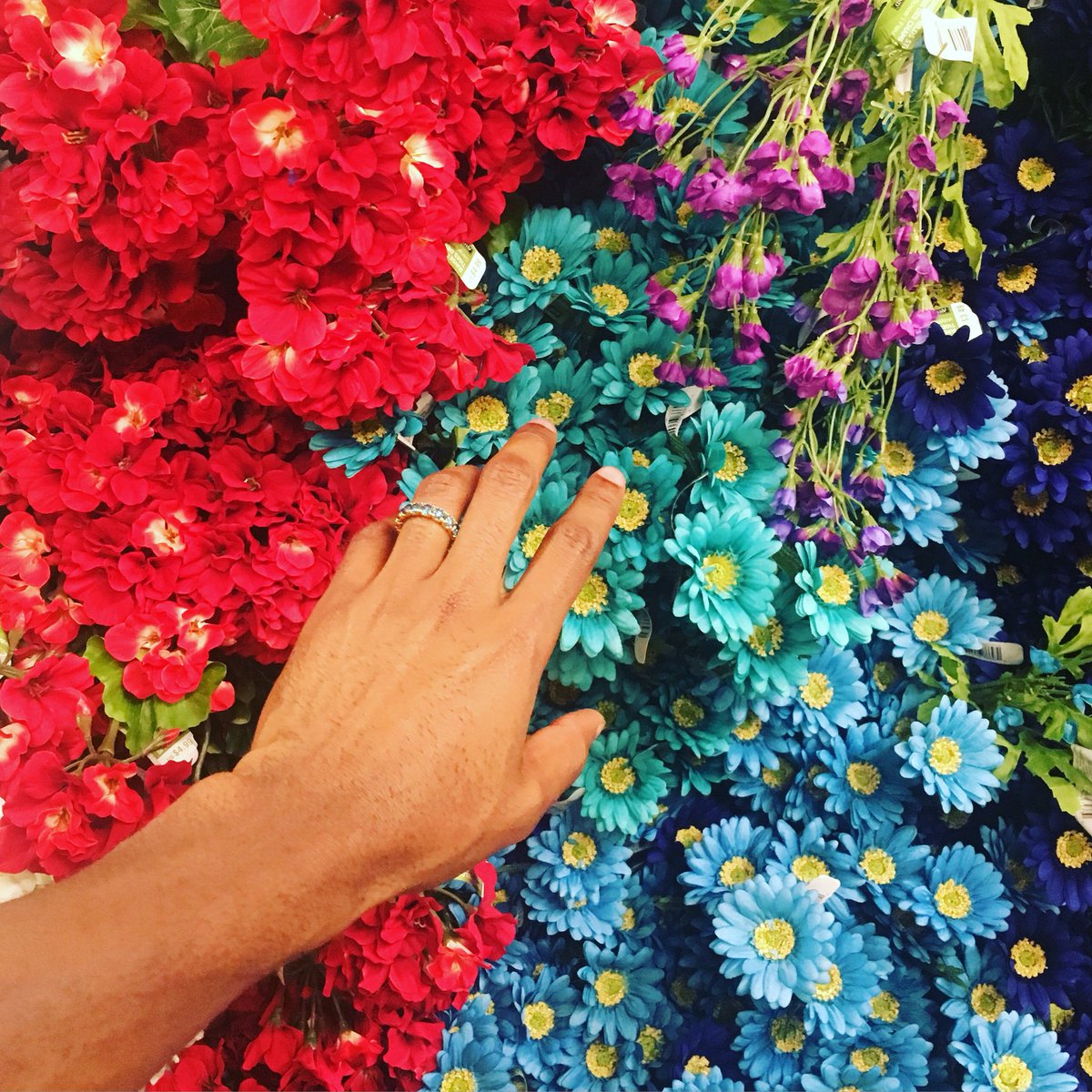 tylerthecreator's tweet photo. https://t.co/Ez1Bb7YgH2