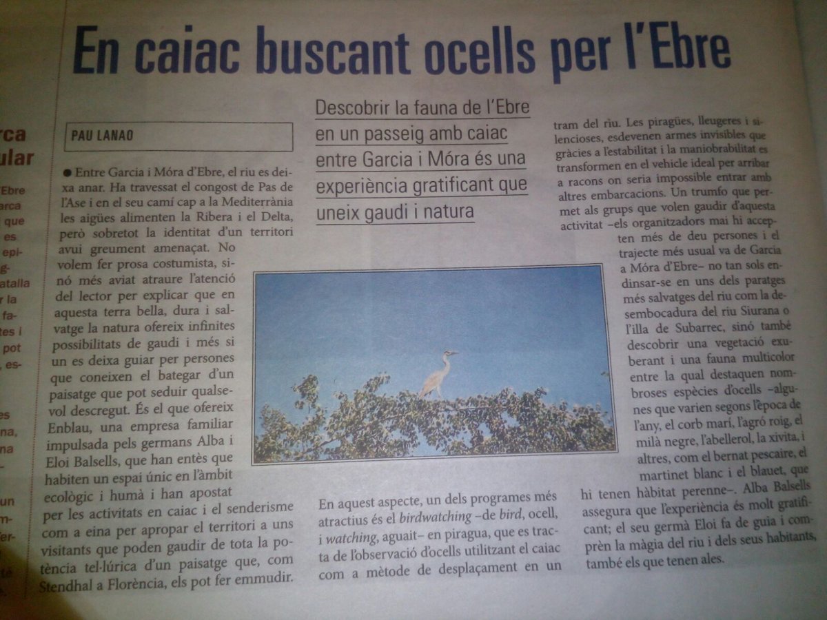 infoenblau tweet picture