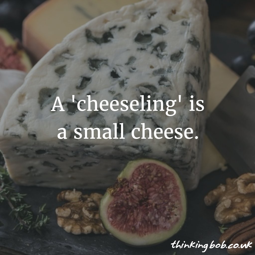 Thinkingbob's tweet photo. #BOBFact: A 'cheeseling' is a small cheese. https://t.co/8ZpmtEb5Id