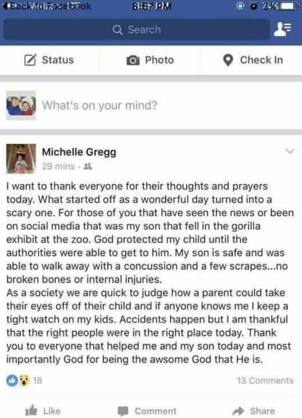 ohio gorilla shot dead after 3 year old falls into enclosure page