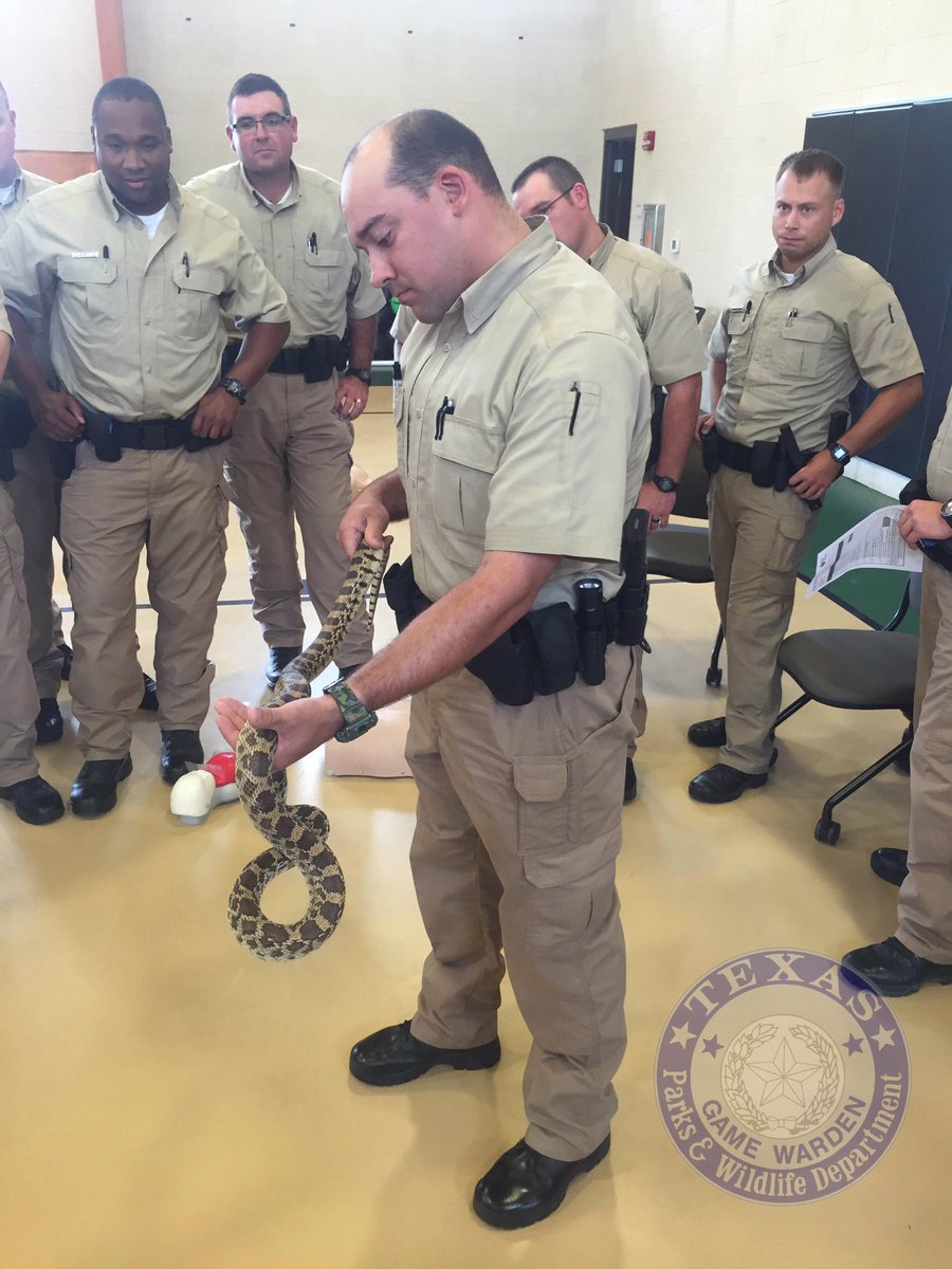 TexasGameWarden's tweet photo. Members of the 60th #txcadet class learning about snakes and snake handling as part of training https://t.co/49fIQa5RTP