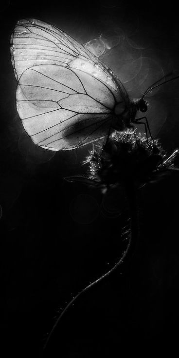 archillect's tweet image. 