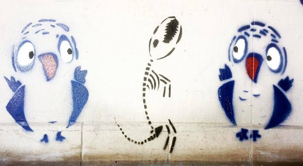 StArtEverywhere's tweet photo. @qwerty_streetart #qwerty #pinovolpino#pappagallo #parrot #scheletro #stencil#stencilart #spryart #urbanart#streeta… https://t.co/8RJHashWeM