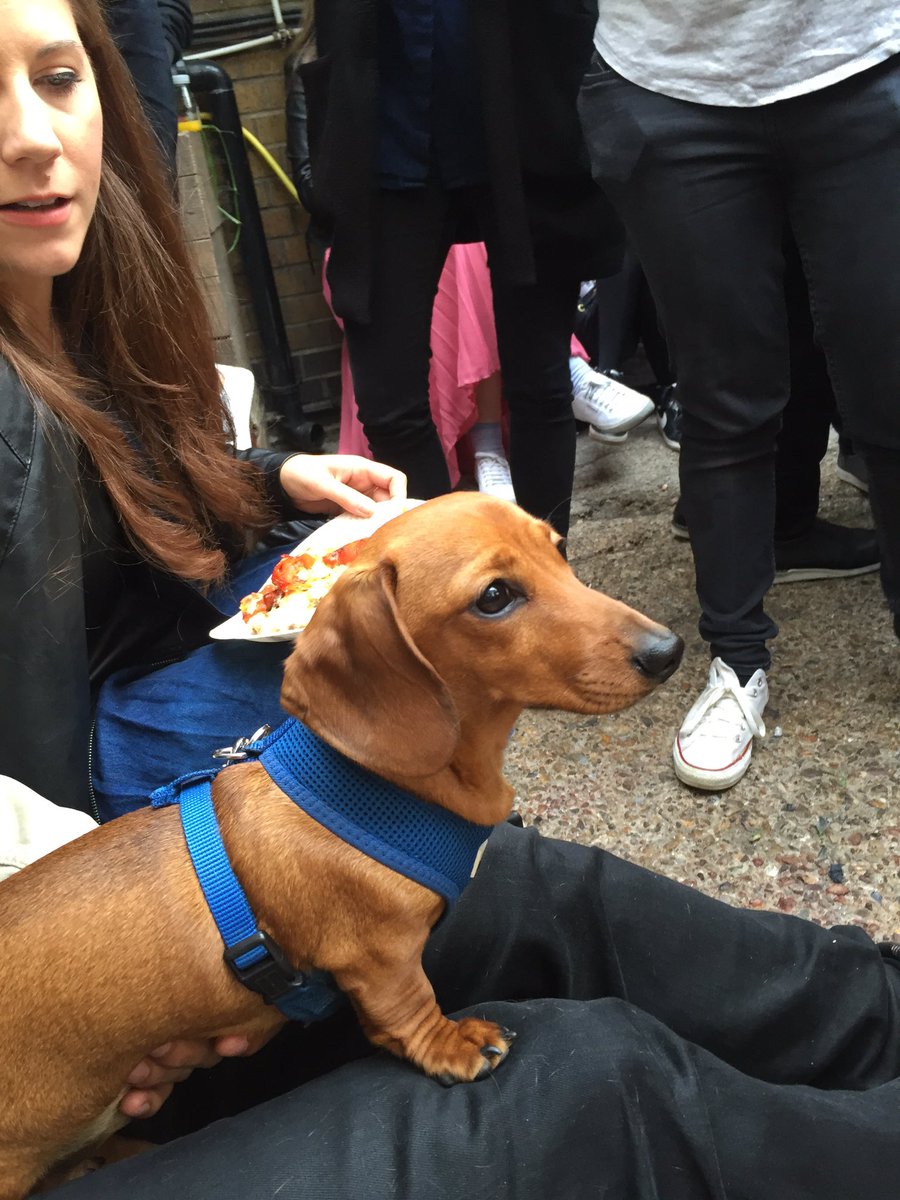 ALL OUR WELCOME AT HEAR NO EVIL - every man and his dog is here! Open til 3am