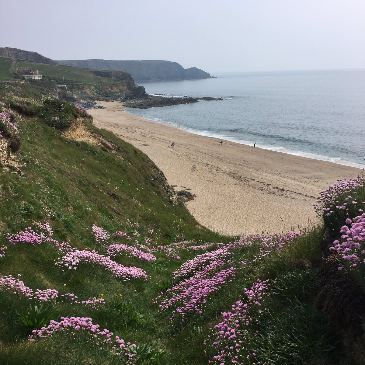 Beautiful out at #gunwalloe #loebar today