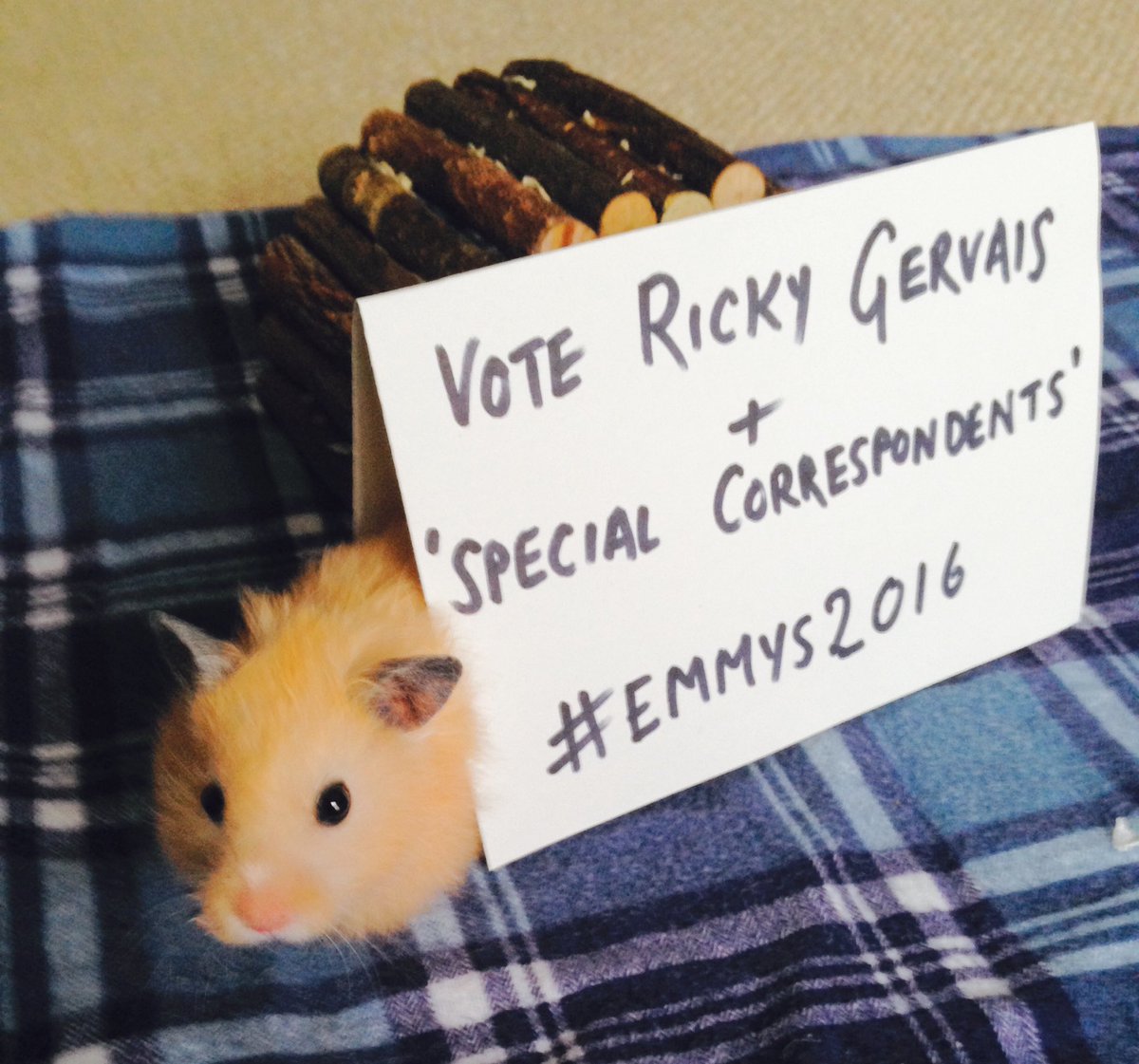 stevenedwards66's tweet photo. @rickygervais The best we could do After half hour of trying!
#Emmys2016 #PetsForRicky https://t.co/08GwfPhqiD