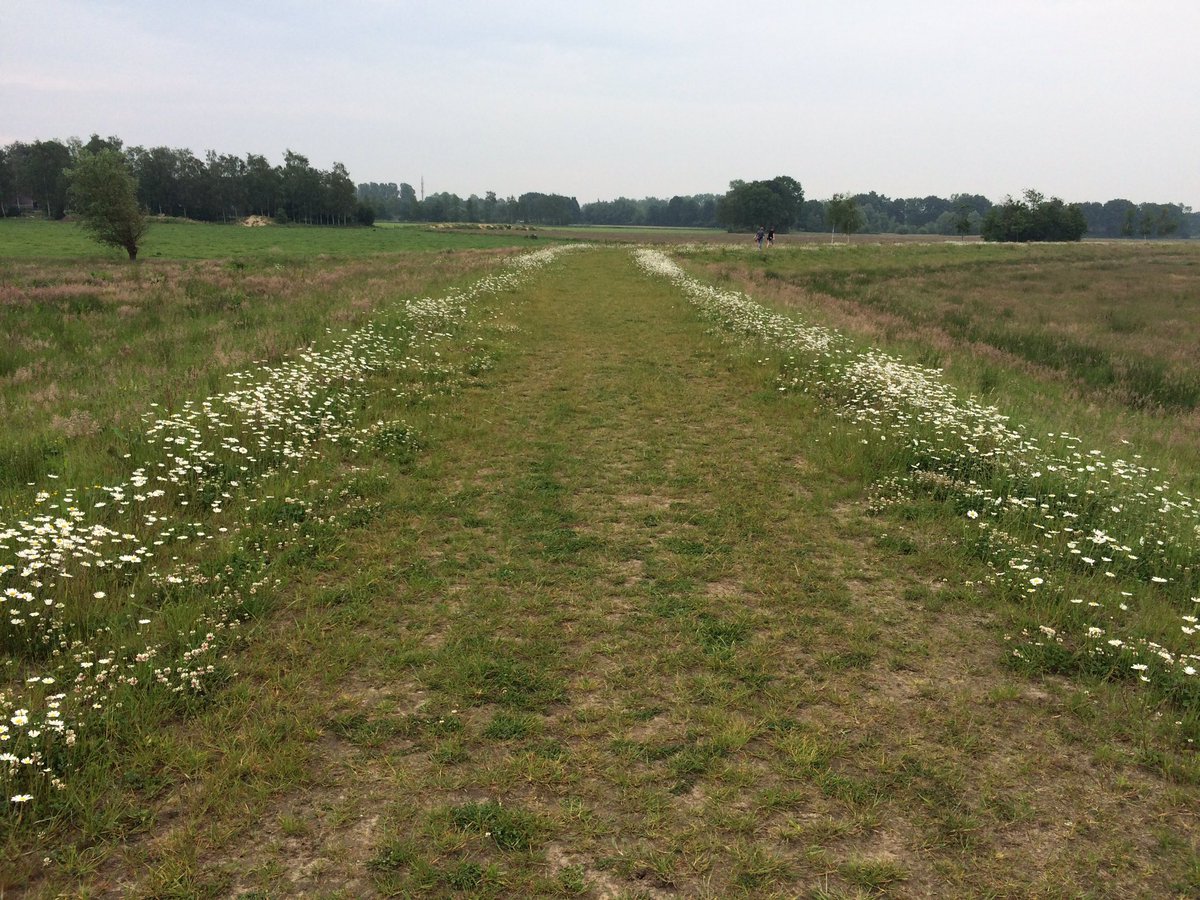 Tijdens de wandeltocht liepen we over #bloeiendedijken. @Peterglas.