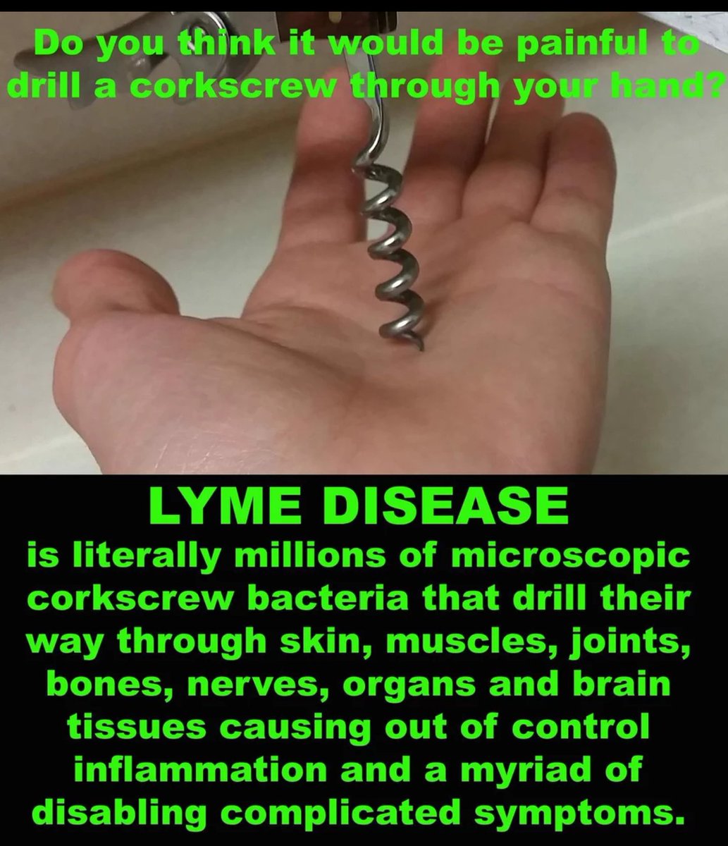 disease_lyme's tweet photo. #lyme #LymeDisease #awareness https://t.co/kE75itVOI5