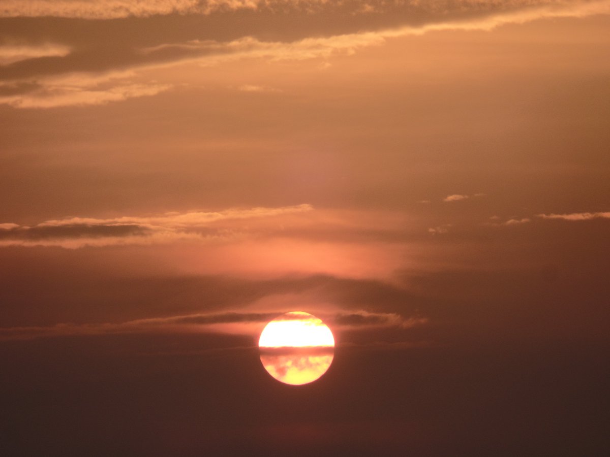 Ulrike_Boehm's tweet photo. Beautiful #sunset in #Goettingen from the #MPIbpc at 8:50 pm :-) https://t.co/yPgED5o9yv
