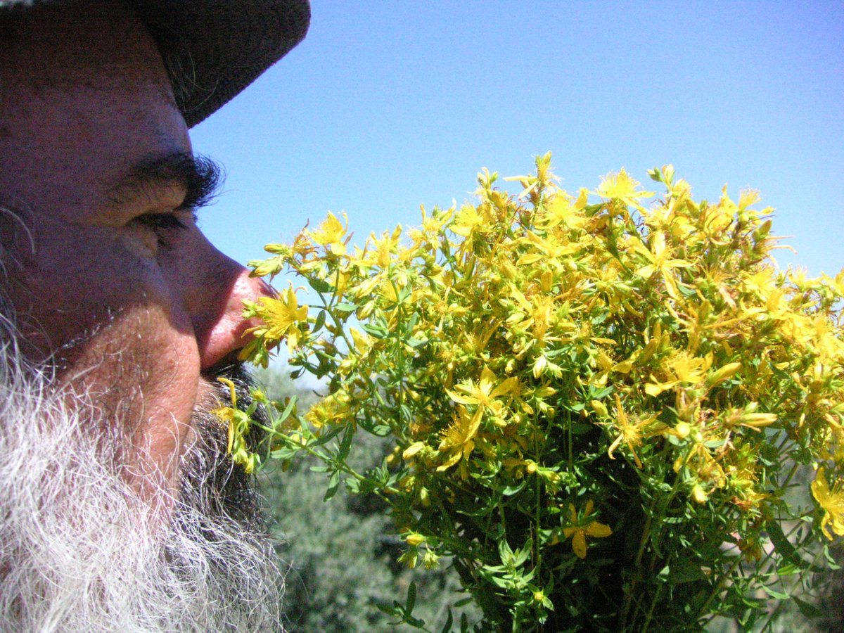 Doğa Her Derde Deva..........