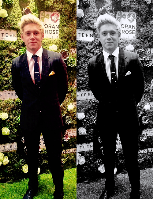 The Horan &amp; Rose Charity Gala