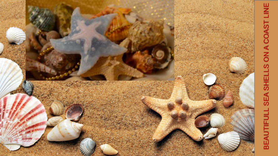 lavkymarket's tweet photo. Bring a touch of a #sea 🌊 https://t.co/GffCVdvCX9 #home with you! https://t.co/i9obW8eA9e