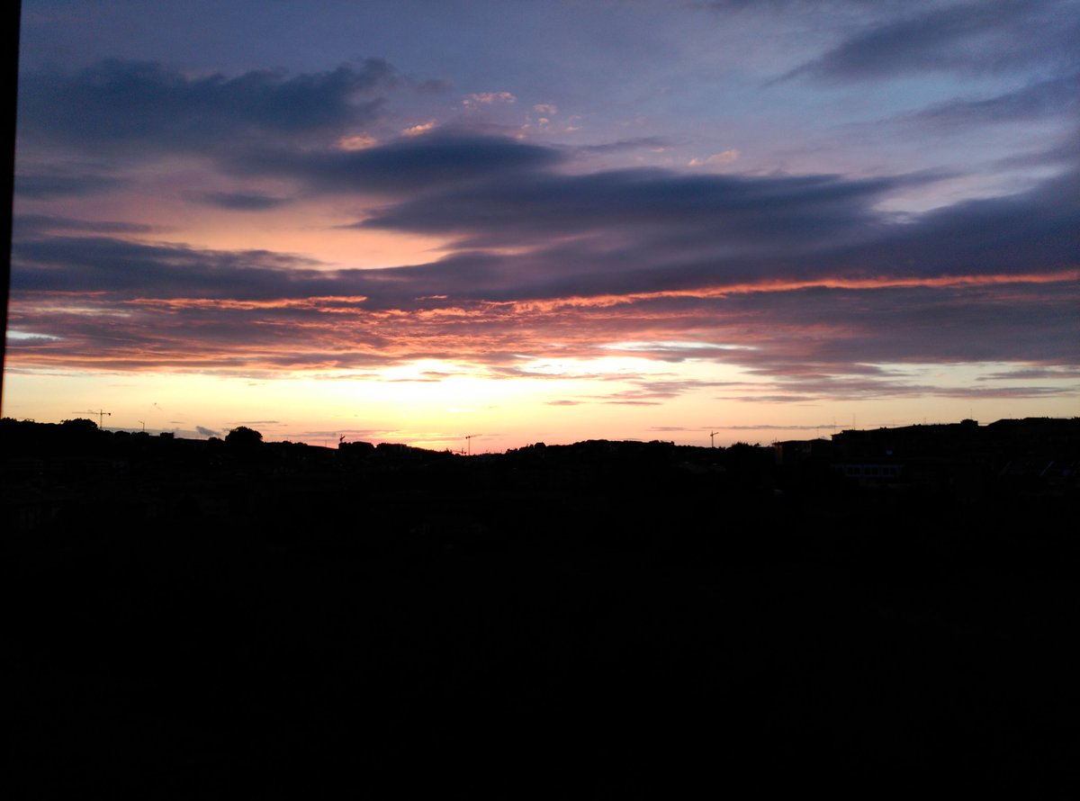 Stop and erase tweet media