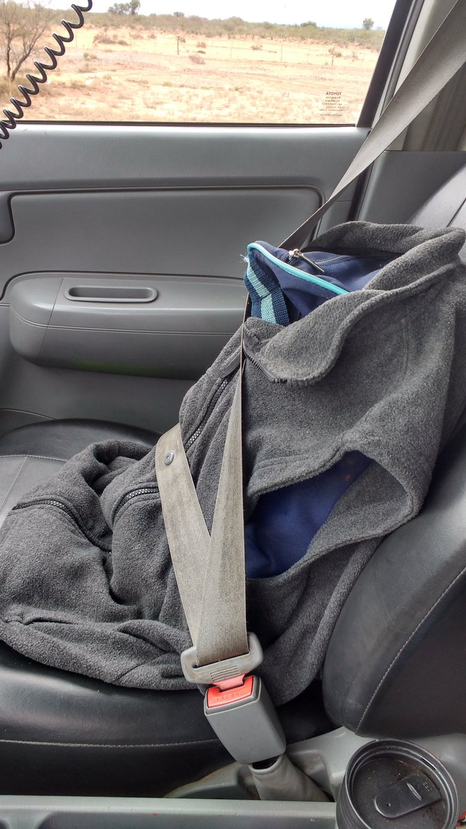 Dani Fredrikson tweet media