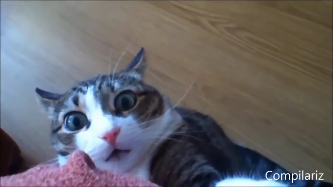 Jacob Ryan James tweet media