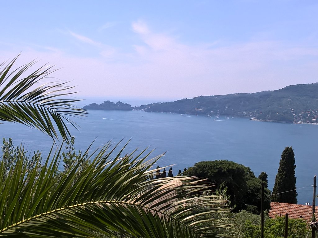 d_valsecchi's tweet photo. @tigullio_tweet wedding in #Zoagli #rivieraligure #levante https://t.co/X1954riXex