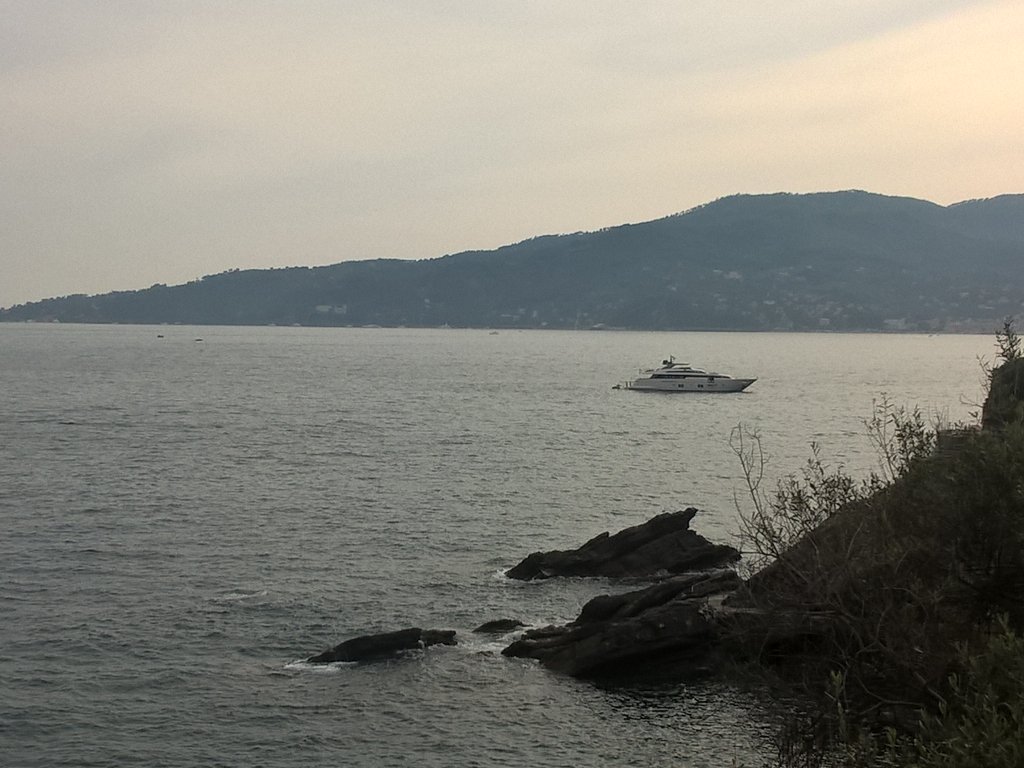 d_valsecchi's tweet photo. @tigullio_tweet wedding in #Zoagli #rivieraligure #levante https://t.co/X1954riXex