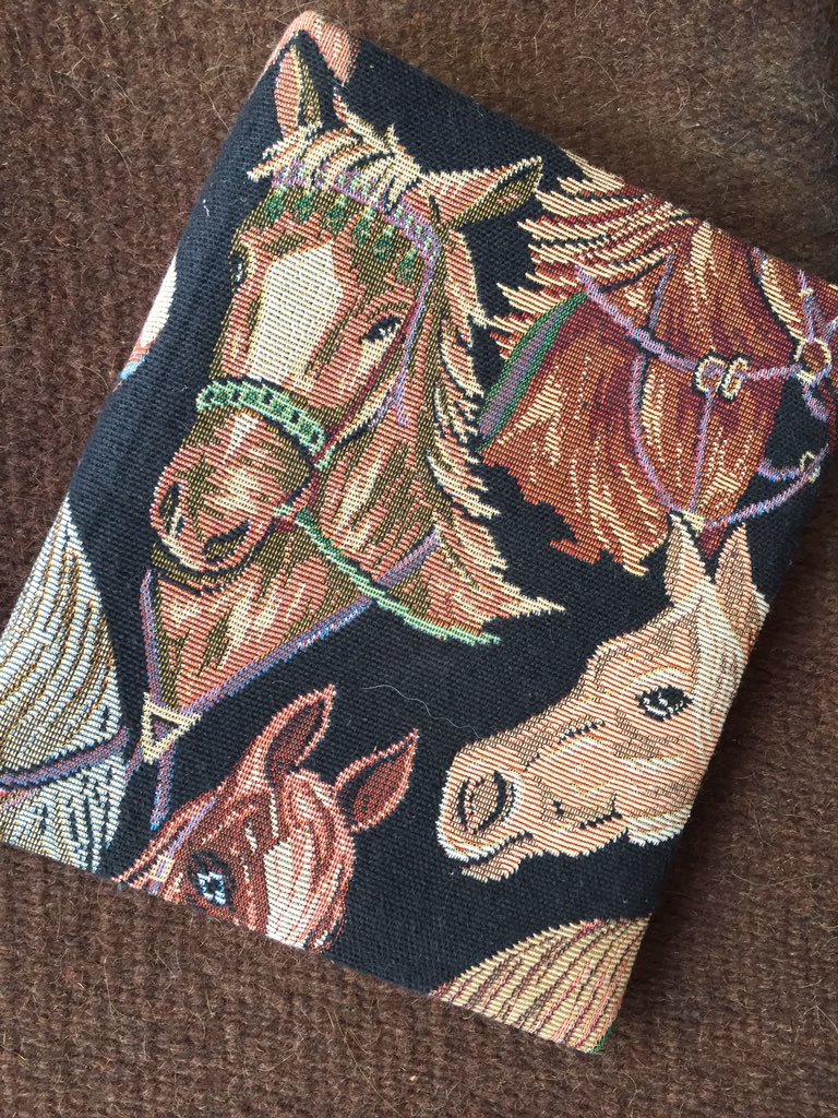 CoachJohnBaxter tweet media