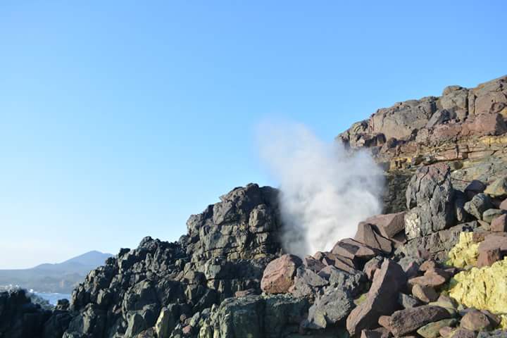 losmollespro tweet picture