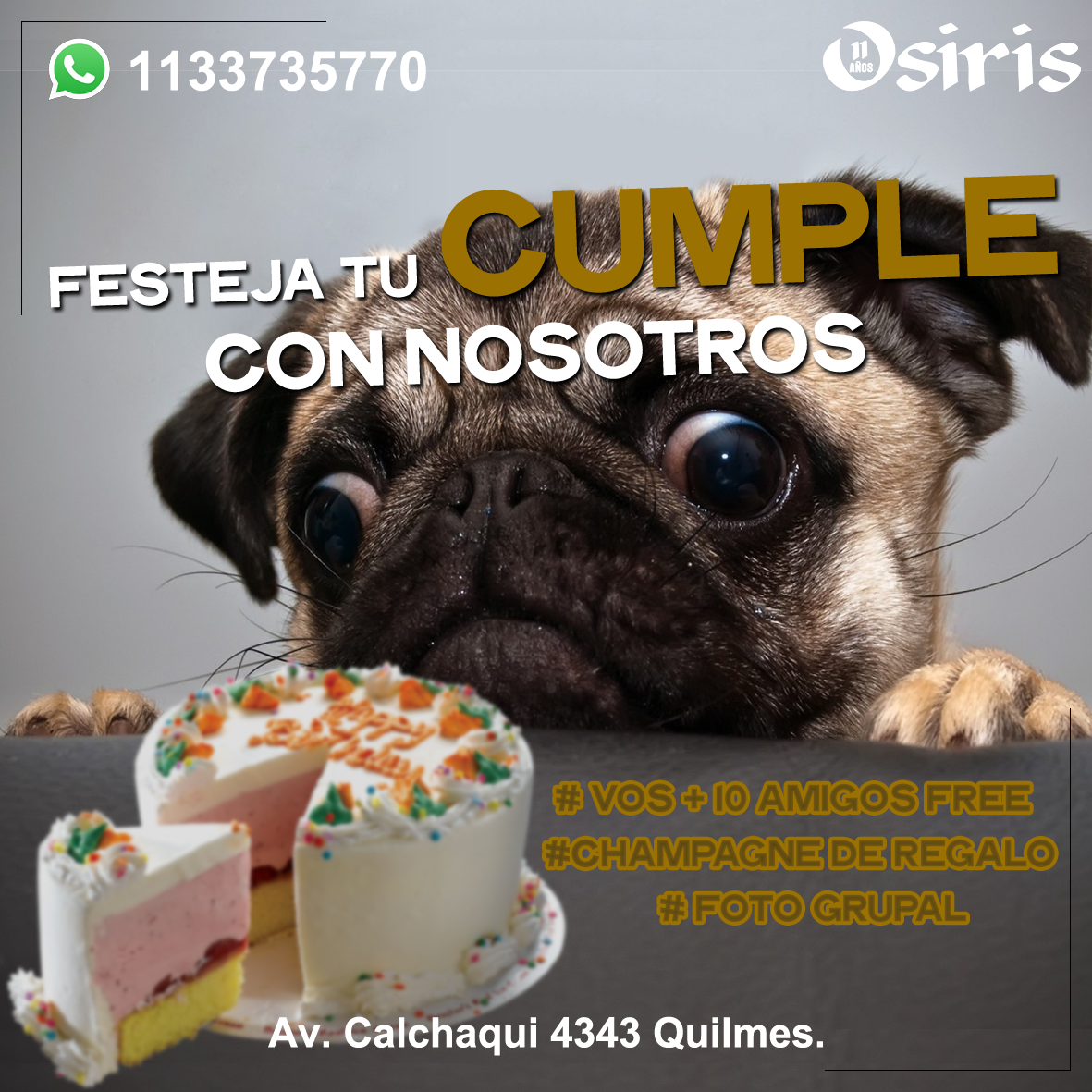 OsirisQuilmesOk's tweet photo. CUMPLE EN #OSIRIS
Veni a festejar tu cumple con nosotros.
#10AMIGOS
#1CHAMPAGNE
#FOTOGRUPAL
WHATSAPP: 1133735770 https://t.co/sV0i39R5j7