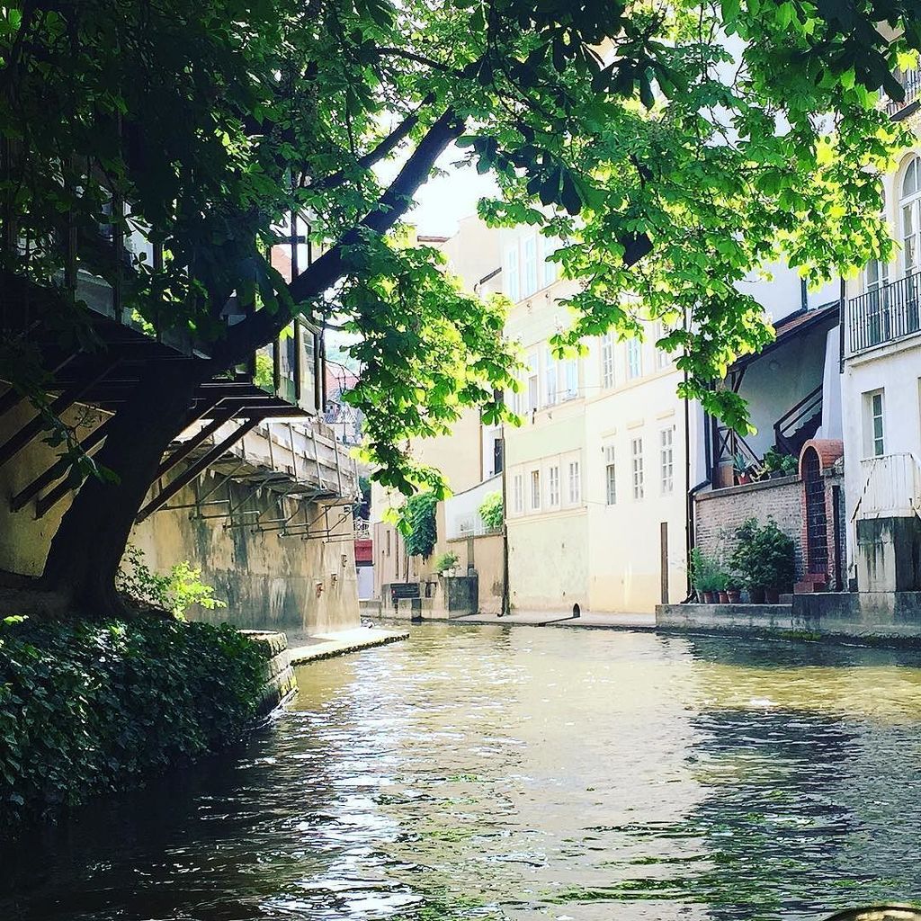 InstaPrague's tweet photo. 🌳☀️ #Prague #takeyourtime #lastweekends #smile #sun #sunshine #river #beauty #aroundme #wa… https://t.co/SdGyHg8obU https://t.co/nUzFJNOWPx