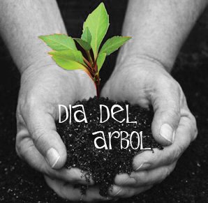 ScoutsDIPAHO's tweet photo. Feliz #DiaDelArbol  @InfoBaruta @scoutsvenezuela. @PartCiudBaruta @araguaneybaruta @UrgellesBaruta #DIPAHOPresente https://t.co/p0Sfv4NYyL