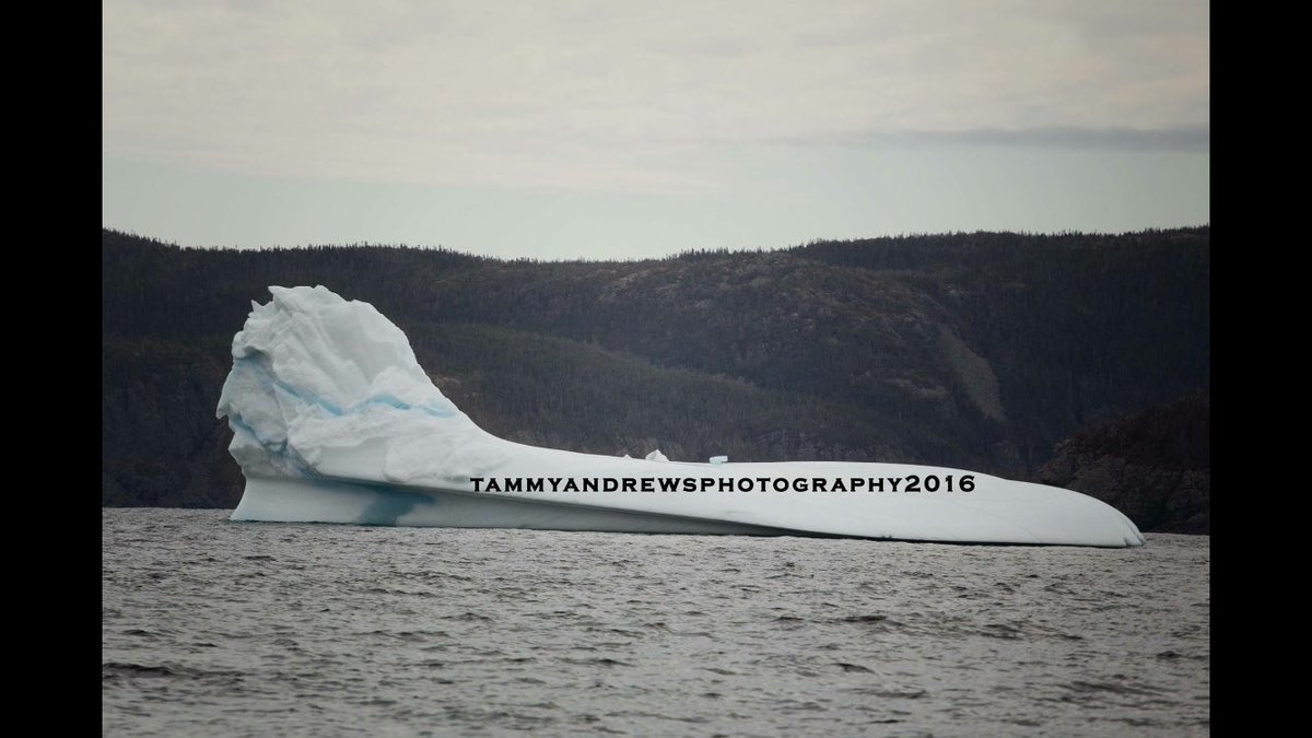 Sphinx or airplane? <a href="/CBCNL/">CBC Newfoundland and Labrador</a> <a href="/NTVNewsNL/">NTV News</a> @NLIcebergReport what do you see? Harry's Harbour, NL
