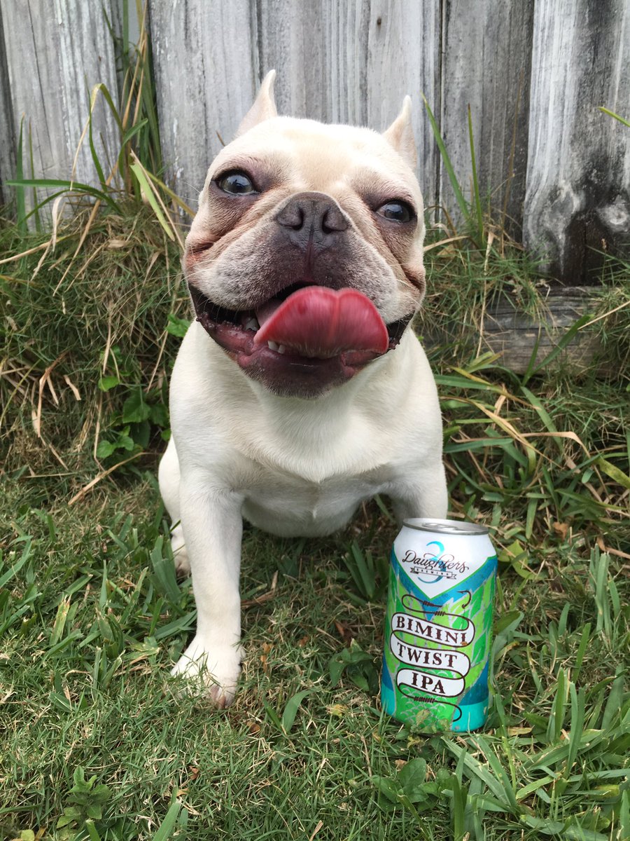 miamibrewingco's tweet photo. A happy ending to a long weekend! #miamibrewingco #drinklocal #3dbrewing https://t.co/bmwV0BMOBH