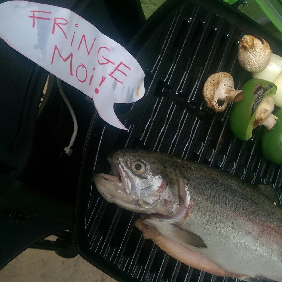 GregChicken's tweet image. I don't he's going to make it to fringe, but you gotta admire his enthusiasm. #fringemoi