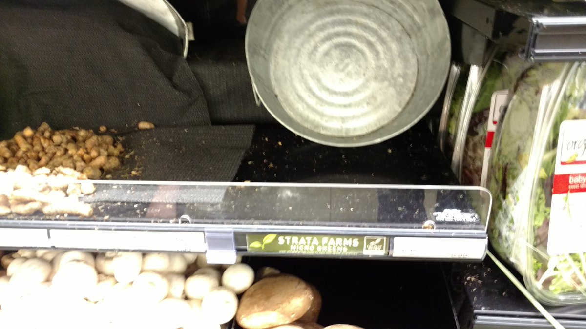 StrataFarms's tweet image. Exactly what u like to see... an empty shelf @newseasons Raleigh Hills location after a successful tasting demo!