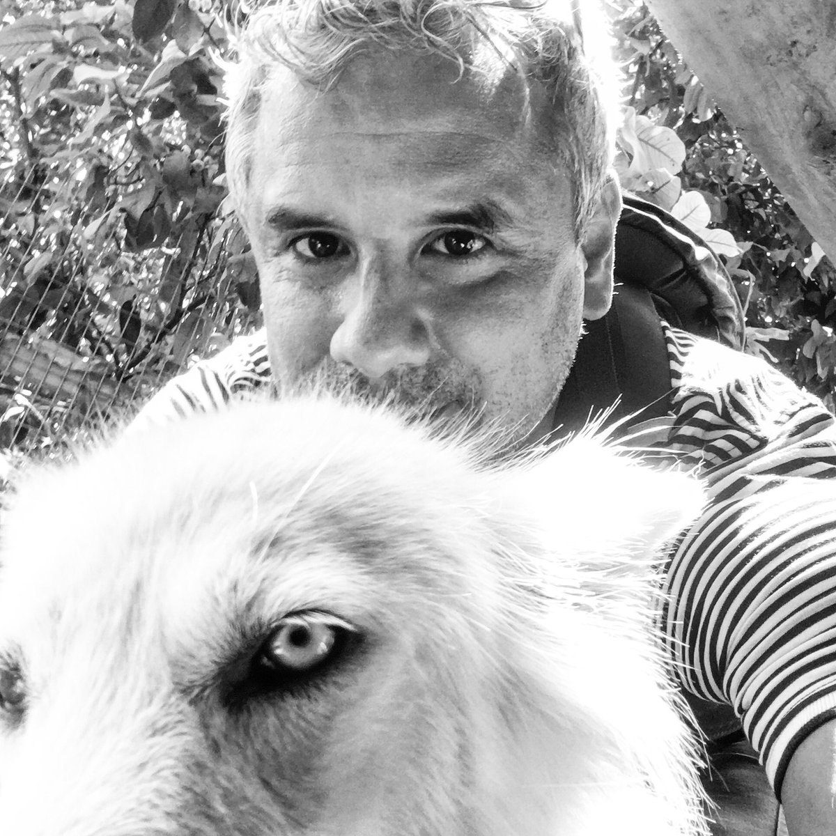 Ready for #GameOfThrones #GOT <a href="/GameOfThrones/">Game of Thrones</a> #IHaveMyWolf what about you? <a href="/HBO/">HBO</a>