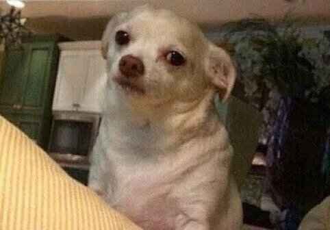 Hell_Mens tweet media