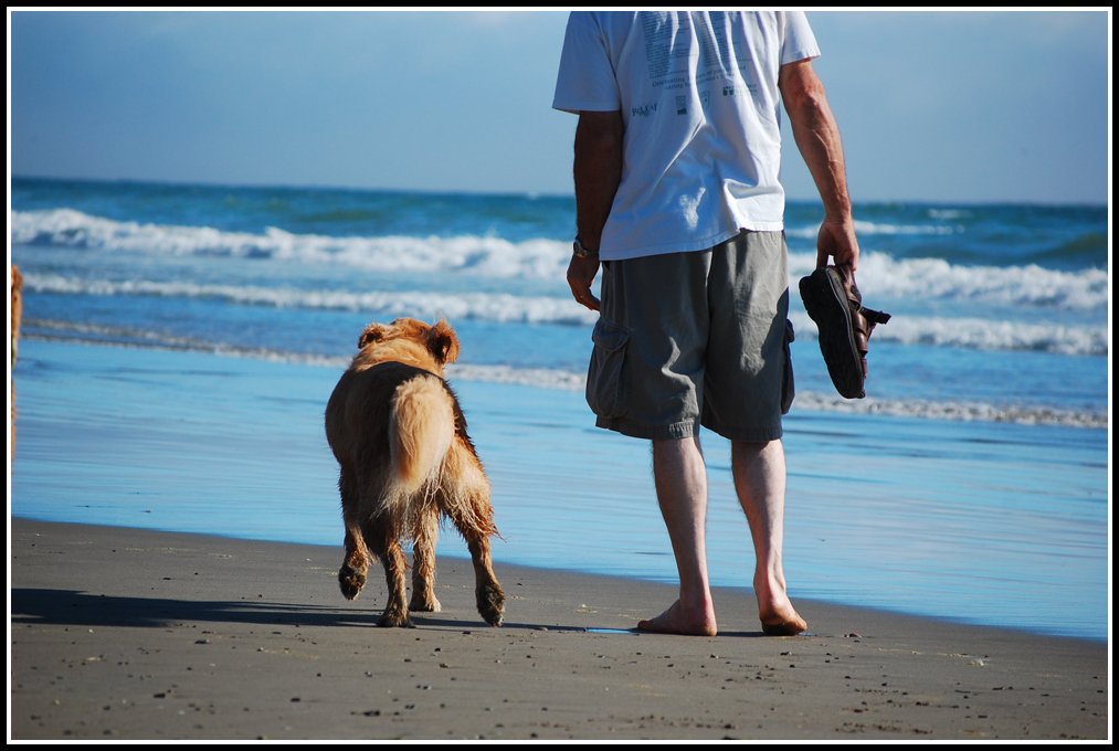 GazebosOz's tweet photo. Pet Friendly Camping in the South Coast of NSW
https://t.co/jpH8llH2xF https://t.co/niHOBwv4NE