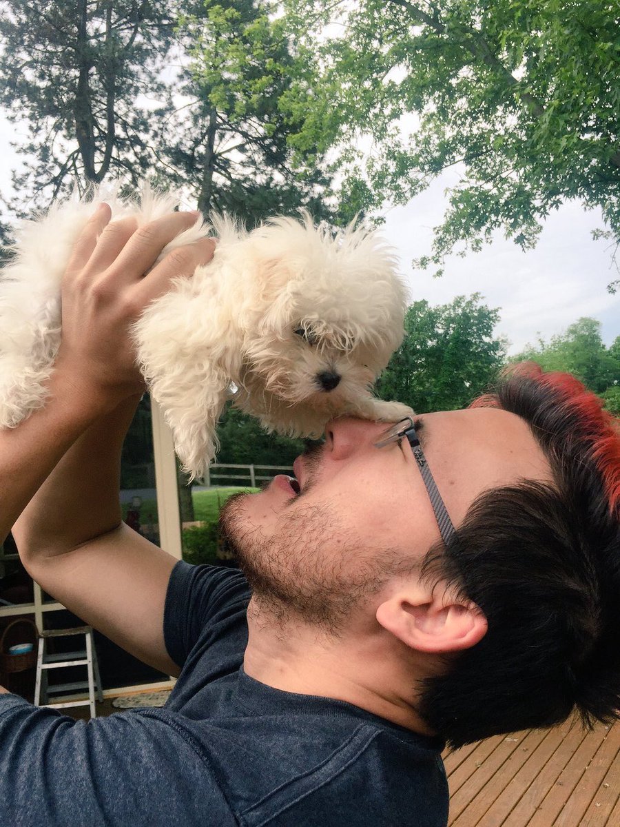 JessicaYojinbo's tweet photo. Cuteness overload! #Markiplier #MarkFishbach #Markimoo #MarkiplierIsMyHero #Rediplier #Cute #YouTube https://t.co/mLm8lIR4Ps