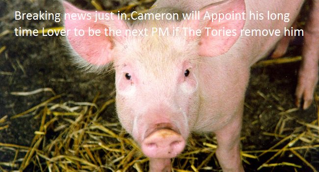 mikunknown's tweet photo. #toryelectionfraud #ToryPriceTag #Battlebus2015 #DodgyDave #DodgyDaveLover https://t.co/vnvxSXG68m