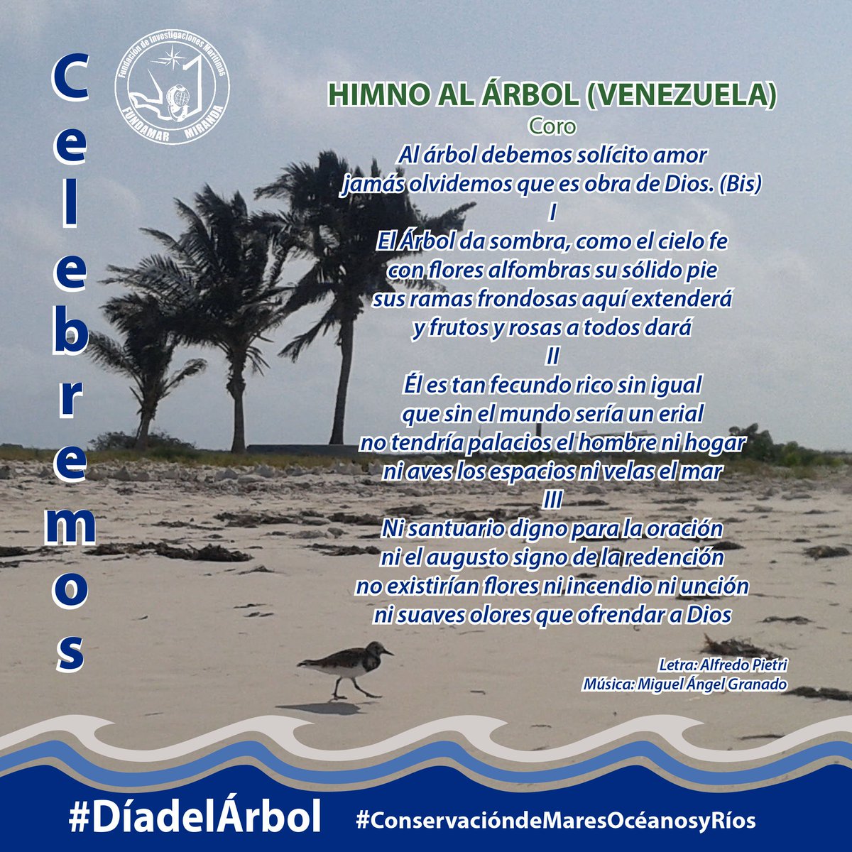#DiaDelArbol Al #arbol debemos solícito #amor... #ConservacióndeMaresOcéanosyRíos acompañanos en ésta cruzada. #RT