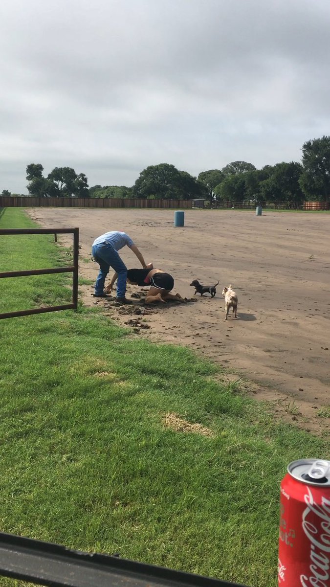 AshfordMacy's tweet image. What happens when I try and punch @AshfordRoss #inabind