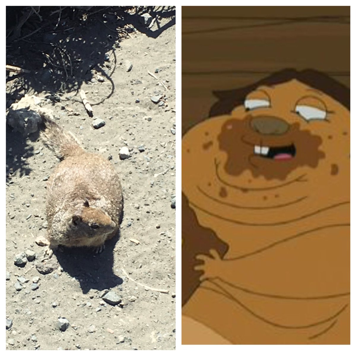 jaredrobinson's tweet photo. I found momma squirrel! #gilbertgrape #familyguy https://t.co/0tmijvJxHk