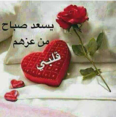 sdfliahmiid's tweet photo. https://t.co/vAWZ5ina0Y