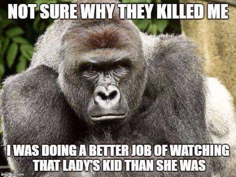 truuebluu's tweet photo. Hard not to agree.................................... https://t.co/kzsWuRUlUO